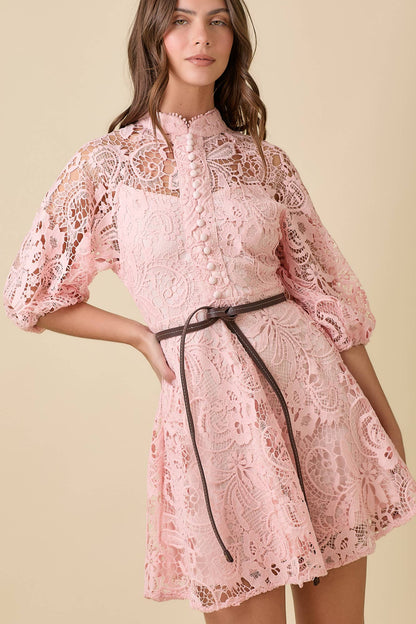 Blush Button Down Mini Lace Dress