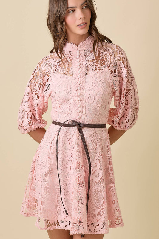 Blush Button Down Mini Lace Dress