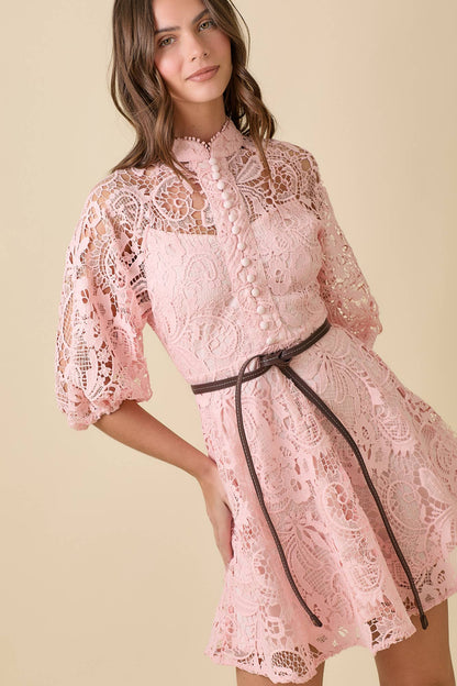 Blush Button Down Mini Lace Dress